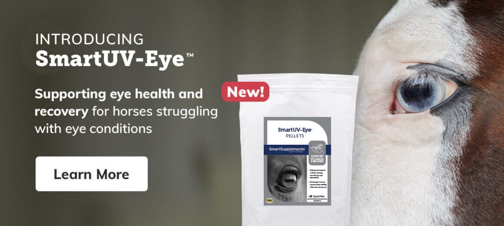 240700 Newspring 051524 Smartuv Eye Launch Secondarybanner D